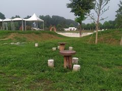 -上林马术中央公园·户外露营·团建·骑乘
