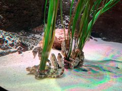 -沈阳海洋探索中心