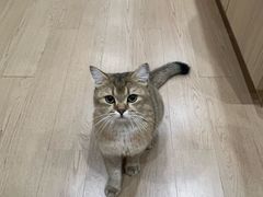 -天福棋牌(田林店)