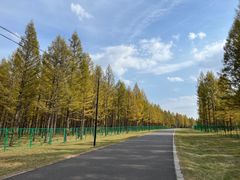 -塞罕坝国家级自然保护区