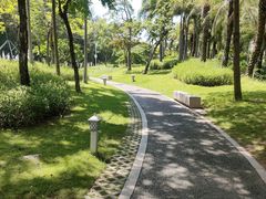 -宝安西湾红树林湿地公园