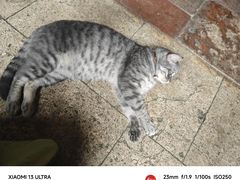 -老屋咖啡