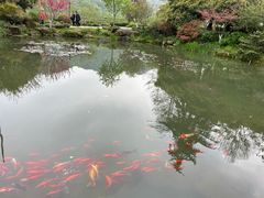 -中国茶叶博物馆(双峰馆区)