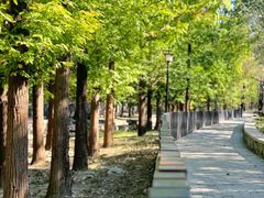 -白水寺森林公园