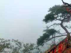 -大连天门山国家森林公园