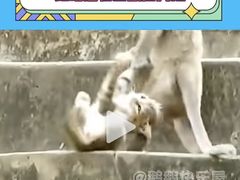 -昆明动物园