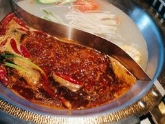 -辣伍鲜毛肚老火锅(元一店)