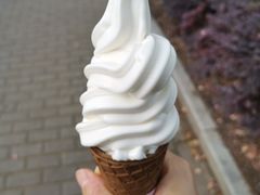 冰淇淋-伍壹贰零壹叁壹肆1314(学府店)