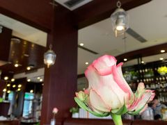 -IL Forno 意坊·意大利餐厅(温州万象城店)