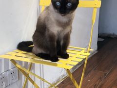 -About Bistro關於·泰式家庭料理