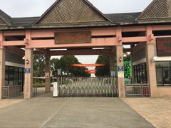 -上海都市菜园