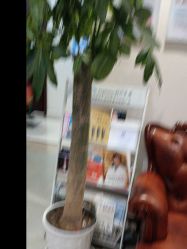 -南京医科大学友谊整形外科医院