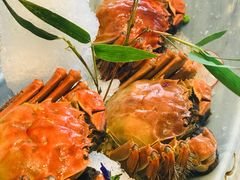 -临江宴(陆家嘴店)