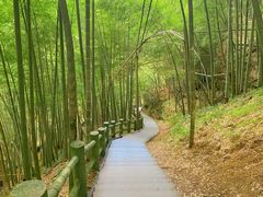 -藏龙百瀑风景区