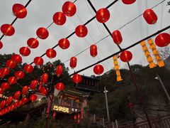 -巴倒烫陆派火锅山庄(南山总店)