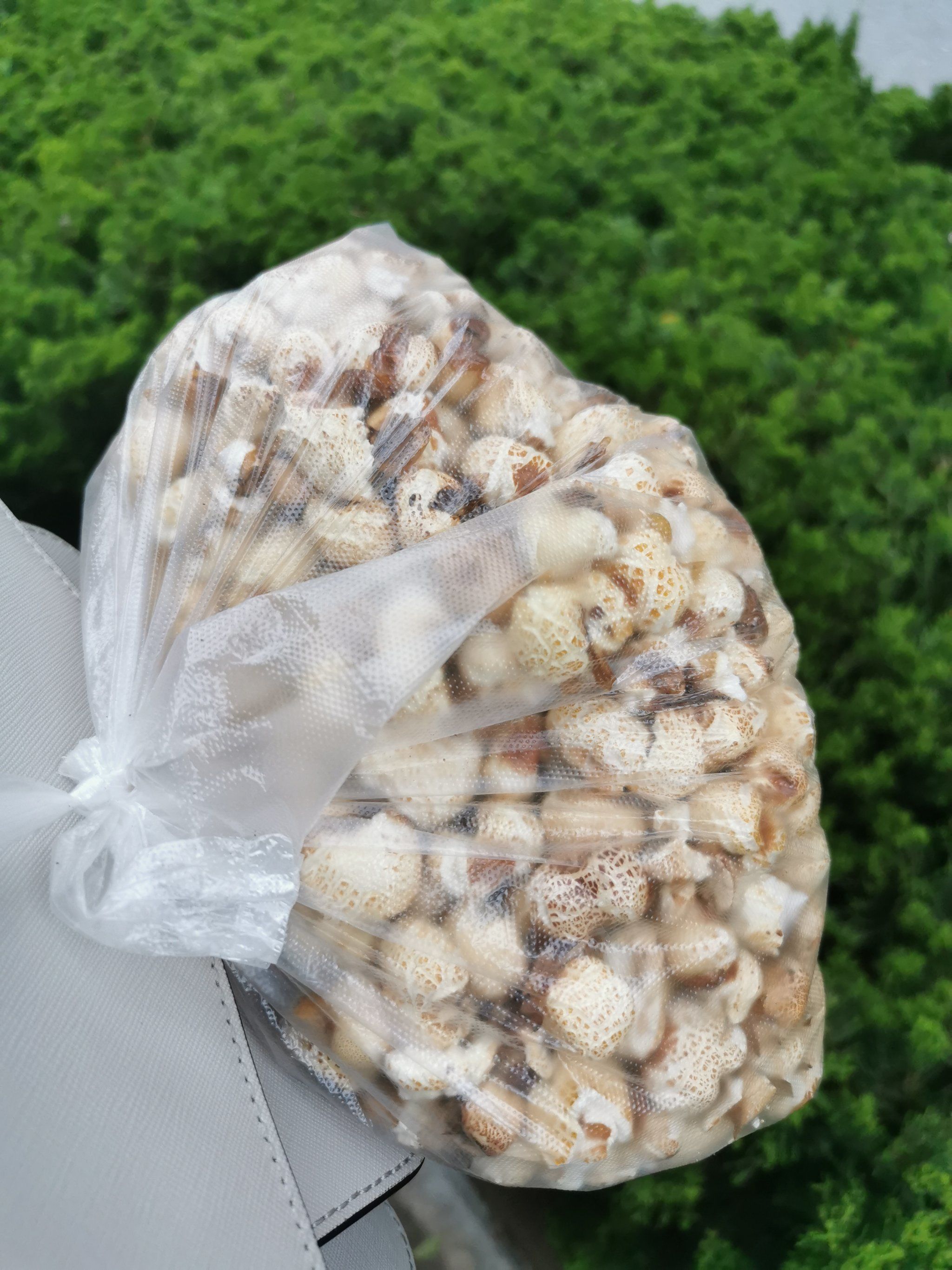 街头老式爆米花