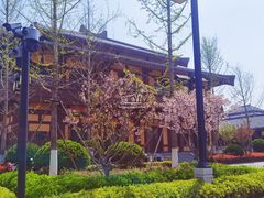 -银雀山汉墓竹简博物馆