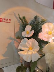 -阅年轻·AI家庭健康体质调理