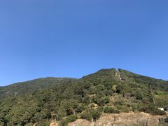 -深圳仙湖植物园