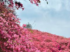 -木兰云雾山