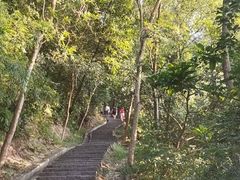 -火炉山森林公园