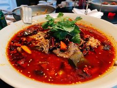 金牌毛血旺-辛香汇·现炒川菜(淮海路百盛店)