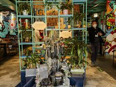 -浩源美食·椰子鸡