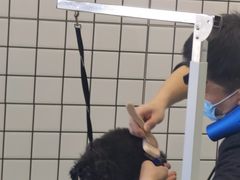 -熊小胖宠物生活馆(天华园店)