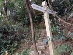 -火炉山森林公园