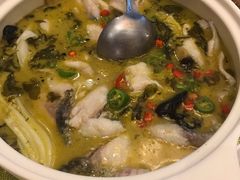 酸菜鱼-大鸭梨烤鸭(左家庄店)