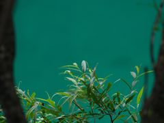 -玉龙雪山蓝月谷