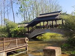 -合肥滨湖国家森林公园