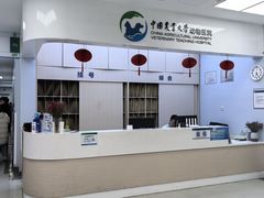 -中国农业大学动物医院