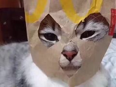 -麦当劳(东方时代广场分店)