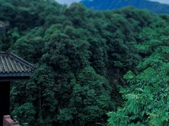 -碧峰峡风景区