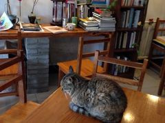 iphone_upload_pic-映画咖啡