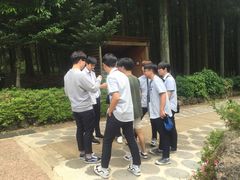 -汉拿树木园