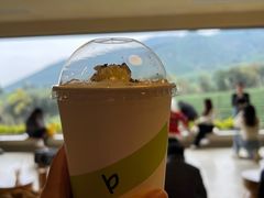 -白茶原·一片叶子
