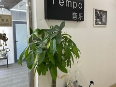 -TEMPO 音乐(五角场店)