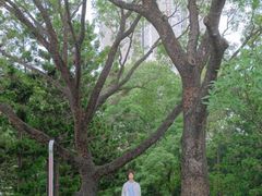 -人民公园(罗湖区)