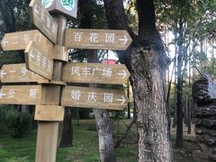 -黑龙江省森林植物园