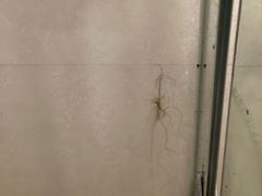 -昆明中心皇冠假日酒店