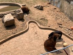 -无锡动物园·太湖欢乐园