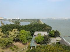 -大湾区中央湿地公园