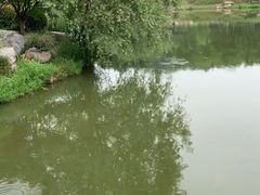 -南山风景名胜区
