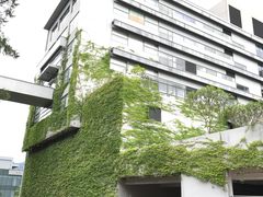 -大埔公路-马料水段香港中文大学(公交站)