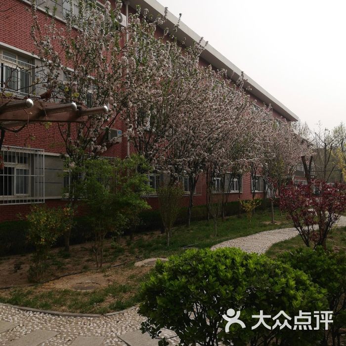 天津市河西区三水道小学