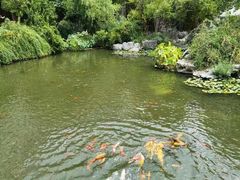 -苏苑饭店-中餐厅(长桥地区店)