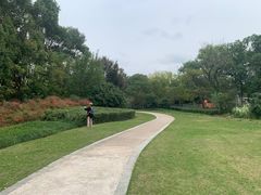 -昆山城市生态森林公园