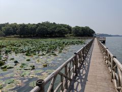 -鄱阳湖国家湿地公园